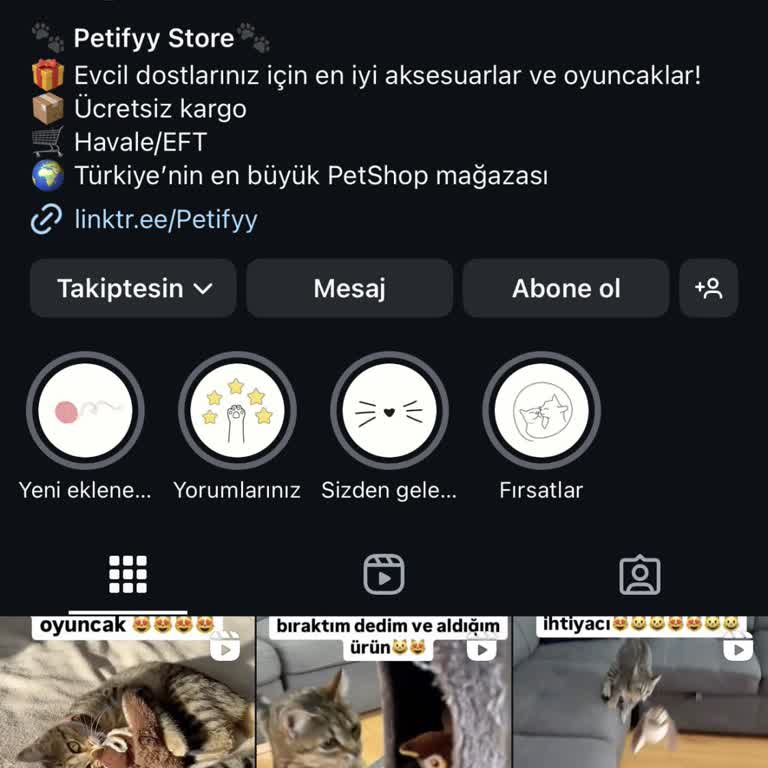 Petifyy Petshop Sipariş Kargoya Verilmedi!