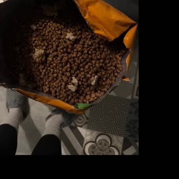 Bozuk Ürün Ve Kötü Koku Sorunu