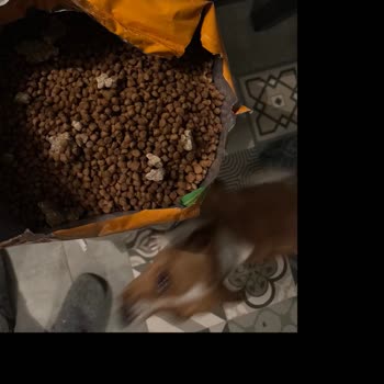 Bozuk Ürün Ve Kötü Koku Sorunu