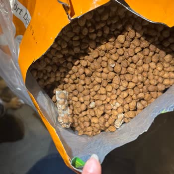 Bozuk Ürün Ve Kötü Koku Sorunu