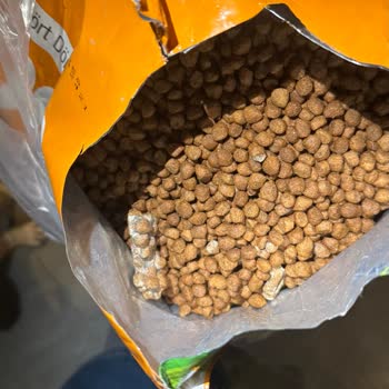 Bozuk Ürün Ve Kötü Koku Sorunu