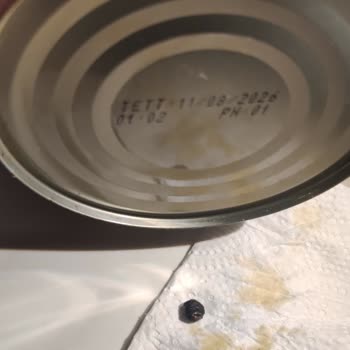 Tat Gıda Konservenin İçinden Çıkan Böcek Şoku