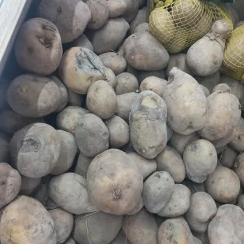 Çürümüş Patatesler Ve Personel Tavrı