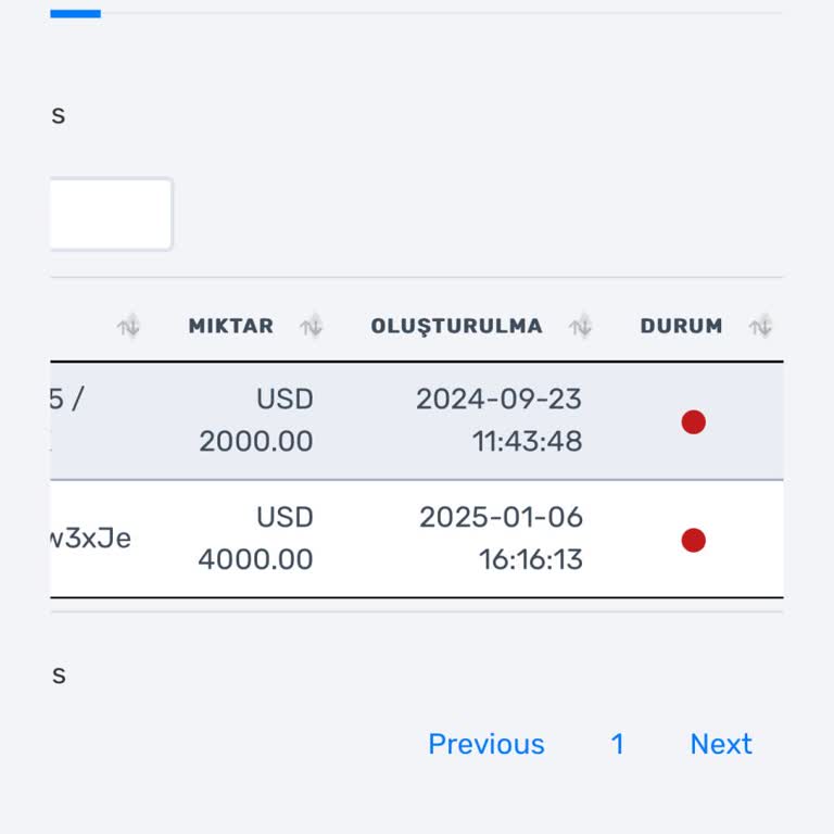 Para Çekme Sorunu: Hesabımdan Para Eksiliyor, Ancak Hesabıma Gelmiyor