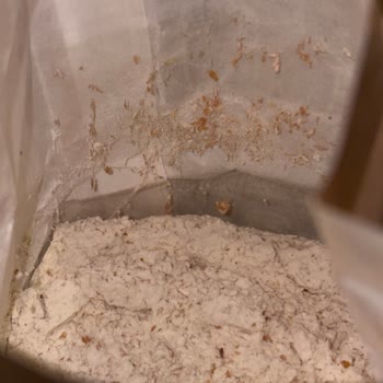 Bozuk Sinangil Un Ve Yetersiz Saklama Koşulları