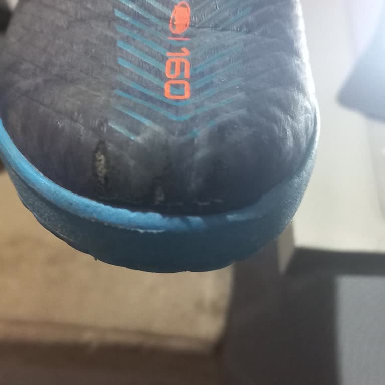 Mahallemizdeki Başıboş Köpek Sorunu