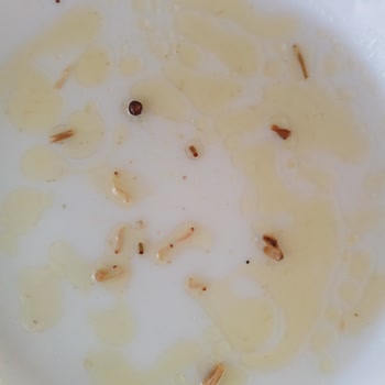 Kurtlu Bulgur Ve İlgisiz Müşteri Hizmetleri