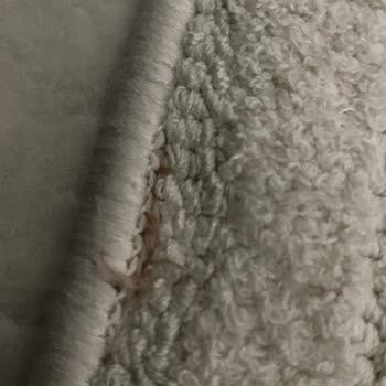 Normod Halı Kalitesi Ve Müşteri Hizmetleri Hayal Kırıklığı