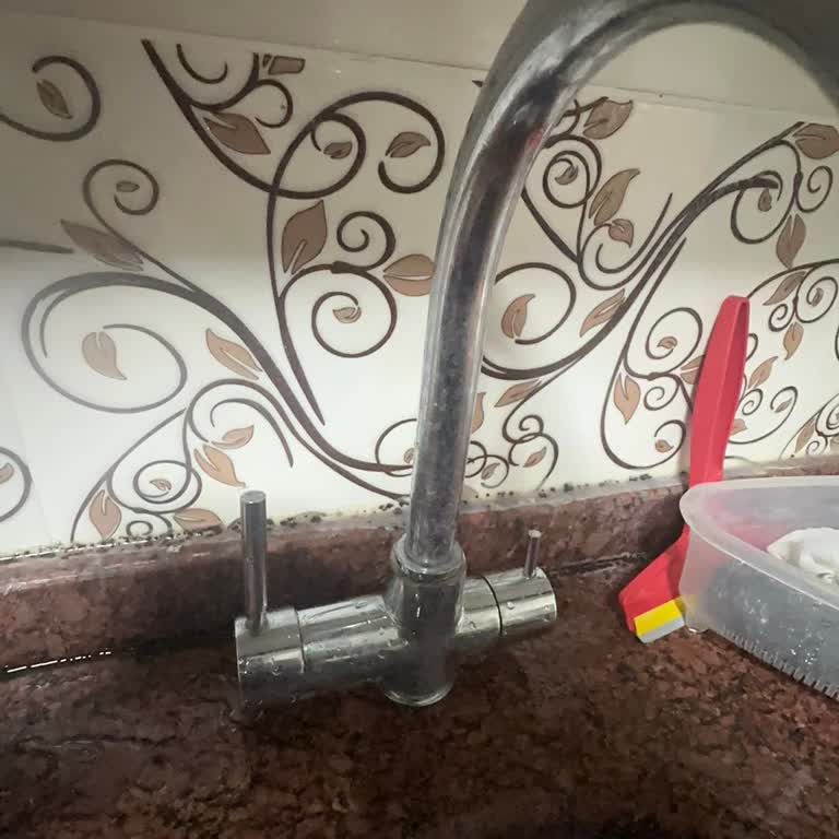 ECA Batarya Su Sızıntısı Ve Servis Sorunu