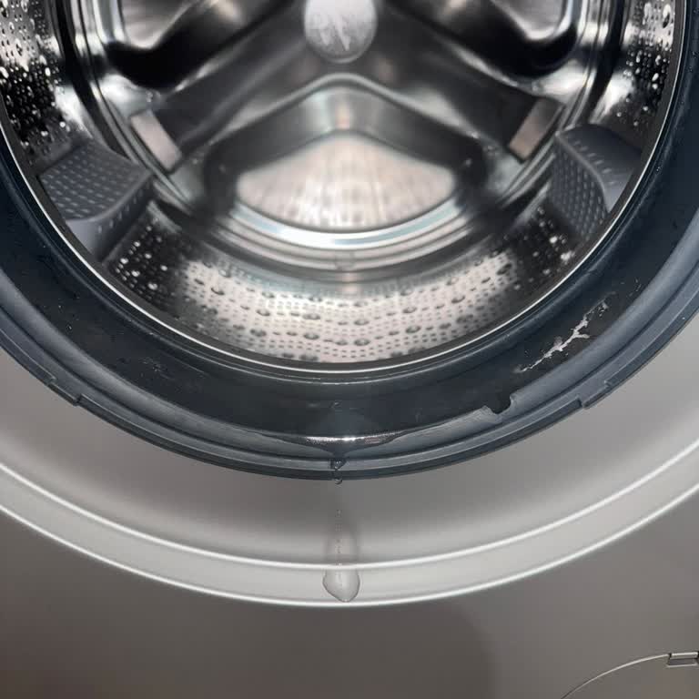 Siemens Çamaşır Makinesi Su Sızdırma Sorunu