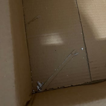 Kırık Ürünler Ve Yetersiz Müşteri Hizmetleri