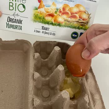 Migros Hemen'de Kırık Yumurtalar Ve Zorlayıcı İade Süreci