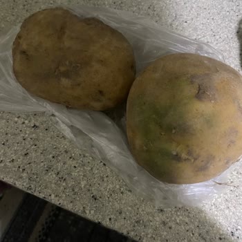 Destek Ekibi Cevap Vermiyor: Müşteri Hizmetleri Sorunu