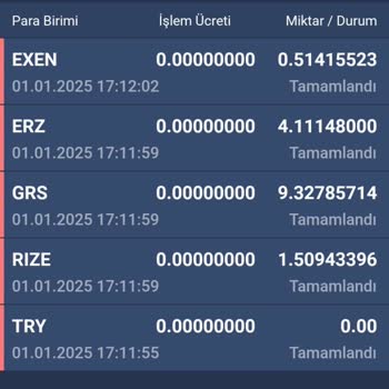 Yetkisiz Varlık Çekimi Ve Token Yakma Skandalı