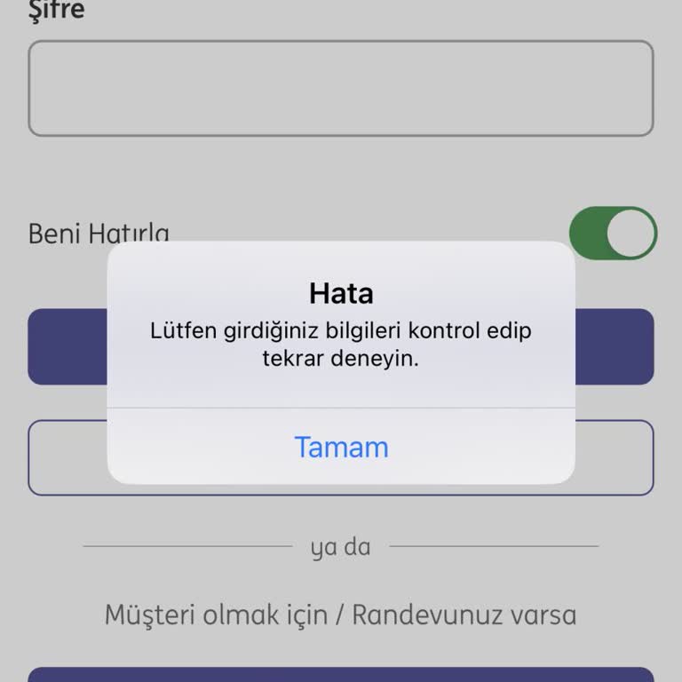 ING Bank Mobil Bankacılık Ve Müşteri Hizmetleri Sorunu