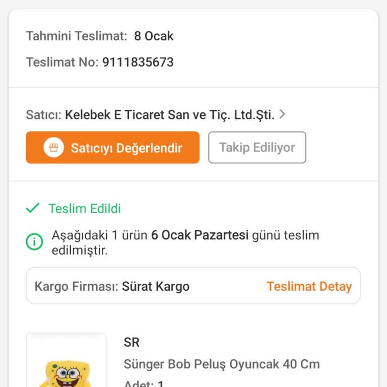 Kayıp Kargo Karmaşası: Teslim Edilmeyen Ürün Ve Ulaşılamayan Destek