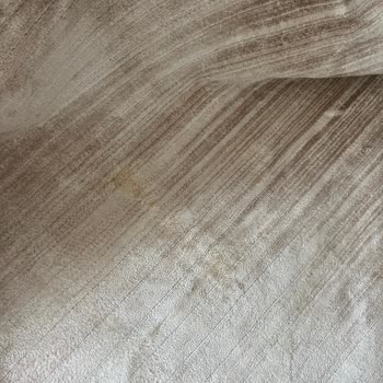 Leke Çıkmayan Halı Temizliği Hayal Kırıklığı