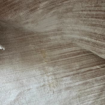 Leke Çıkmayan Halı Temizliği Hayal Kırıklığı