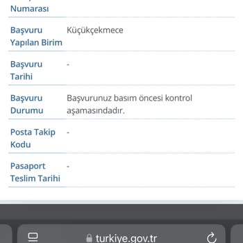 Pasaport Gecikmesi Balayı Planlarımızı Tehlikeye Atıyor