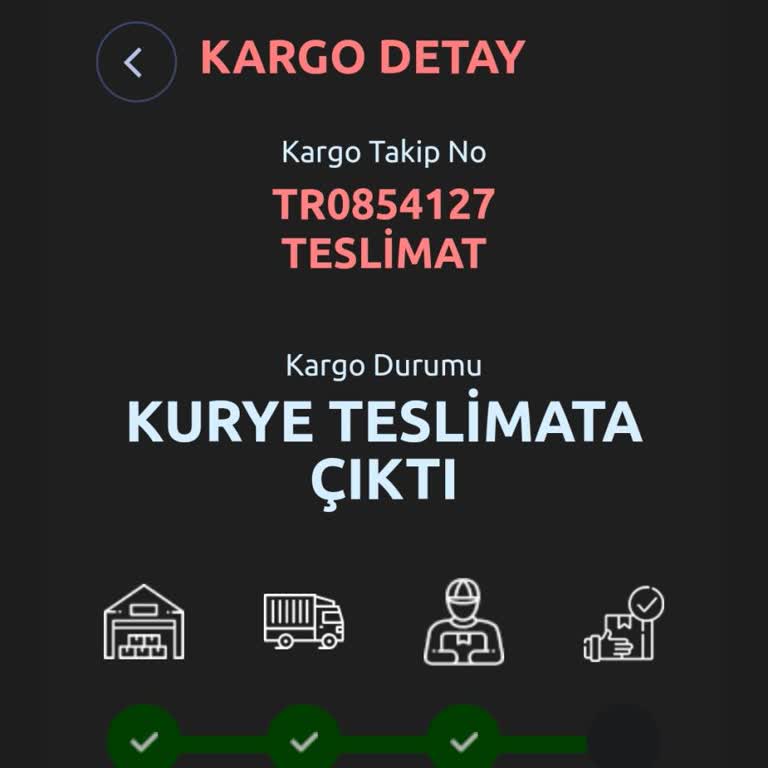 Ceva Kargo Teslimat Sorunu Ve Bilgilendirme Eksikliği