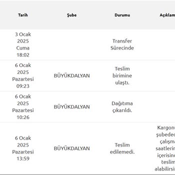 Yurtiçi Kargo Büyükdalyan Şubesi Teslimat Sorunları Ve Müşteri Mağduriyeti