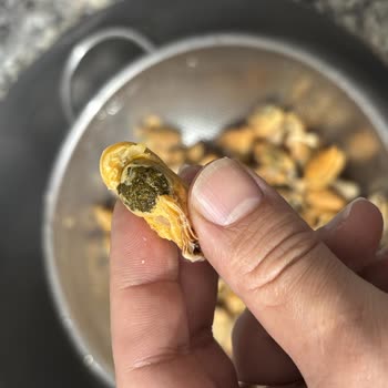 Pişmiş Midyelerin Temizlenmemiş Satılması Ve İlgisiz Müşteri Hizmetleri