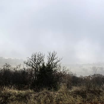 Huawei Telefonun Isınma Ve Kamera Sorunları