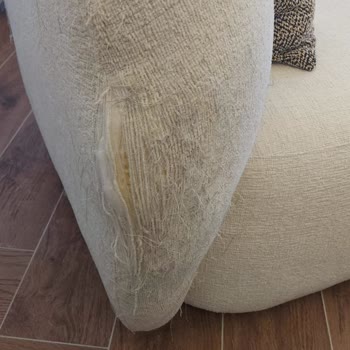 Pati Dostu Kumaş Fiyaskosu: Kedime Uygun Olmayan Koltuklar