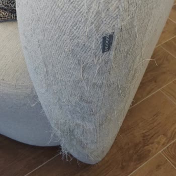 Pati Dostu Kumaş Fiyaskosu: Kedime Uygun Olmayan Koltuklar