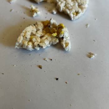 Mısır Ve Pirinç Patlağında Taş Şoku