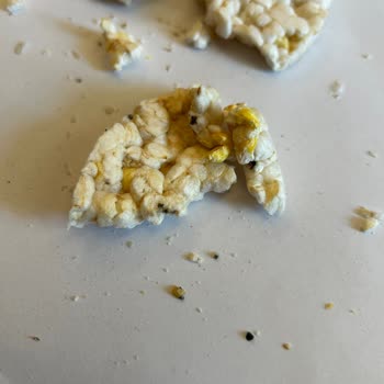 Mısır Ve Pirinç Patlağında Taş Sürprizi