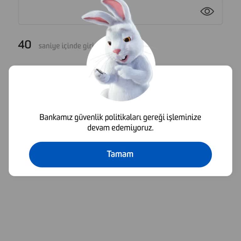 Fibabanka Mobil Uygulama Engeli: Kredi Onayı Sonrası Sorun