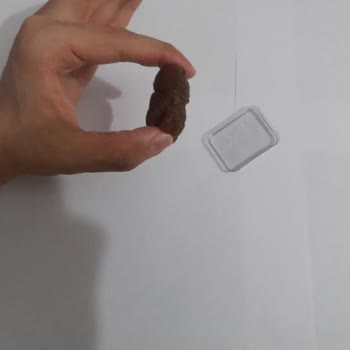 Kestane Şekeri Aldatmacası: 378 TL'ye 9 Küçük Kestane