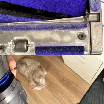 Dyson Servis Sürecinde Hayal Kırıklığı