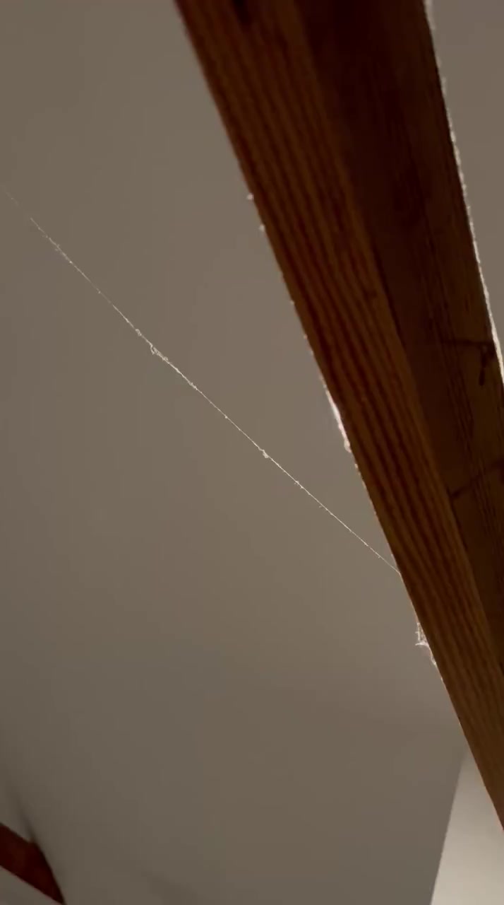 Airbnb Charges Me for a Bug-Infested Garage Stay in Los Angeles video cover