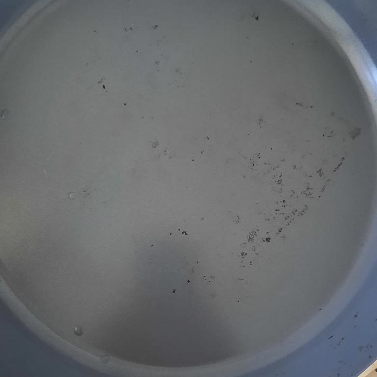 Yanmaz Yapışmaz Tavanın Hayal Kırıklığı