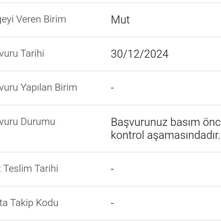 Ehliyet Başvurum Neden Gecikti?