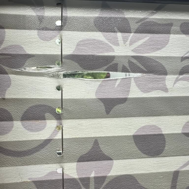 Eliva Home'dan Aldığım Pilise Perde 2 Yıl Dolmadan Parçalandı!