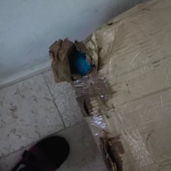 Kırılabilir Kargo Hasarı