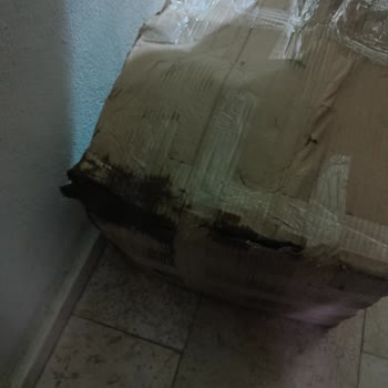 Kırılabilir Kargo Hasarı