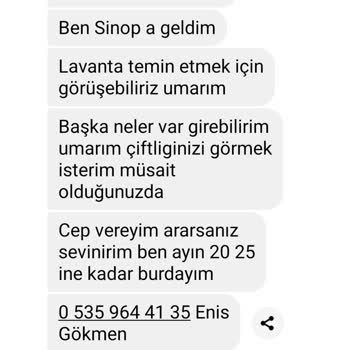 Sinbo Tost Makinesi İle Yaşanan Servis Ve Ürün Sorunları