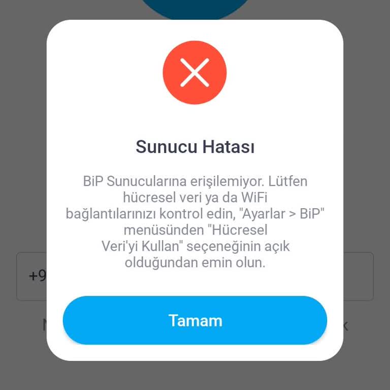 BİP Uygulamasında Tekrarlanan Erişim Sorunu