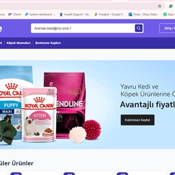 Sipariş Verilen Pet Mama Gönderilmiyor: Güvenilir Olmayan Web Sitesi