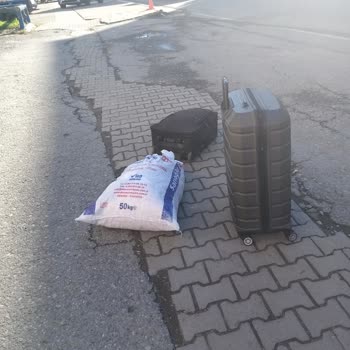 Lüks Yalova Seyahat Şikayetçiyim