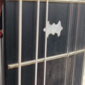 Hasarlı Gitar Ve Yetersiz Çözüm Süreci