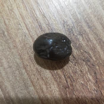 Tukaş Zeytinlerinin Kalitesindeki Düşüş Hayal Kırıklığı Yarattı