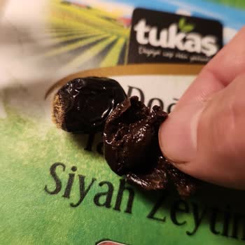 Tukaş Zeytinleri: Hayal Kırıklığı Ve İlgisizlik