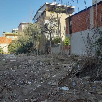 Tehlike Arz Eden Bakımsız Sokak