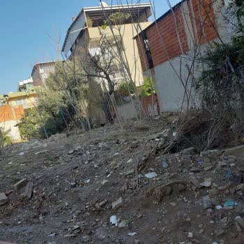 Tehlike Arz Eden Bakımsız Sokak