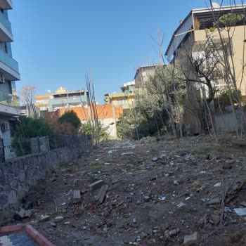 Tehlike Arz Eden Bakımsız Sokak